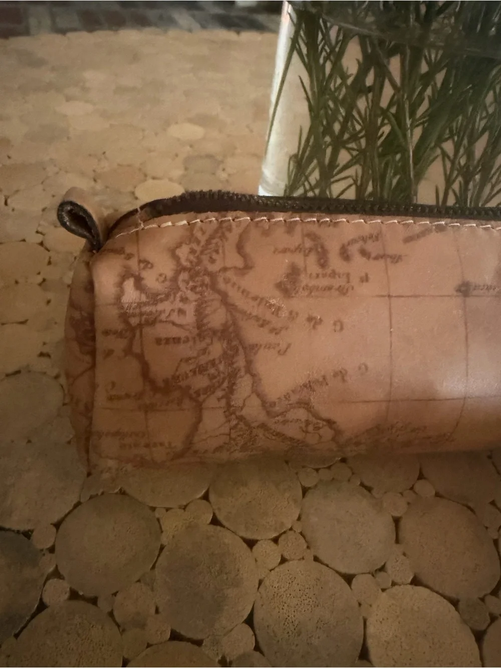 Patricia Nash Isla Oblong Leather Case on Map Print